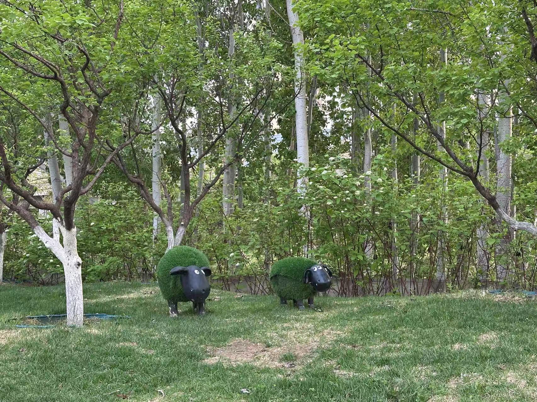 20250420134937